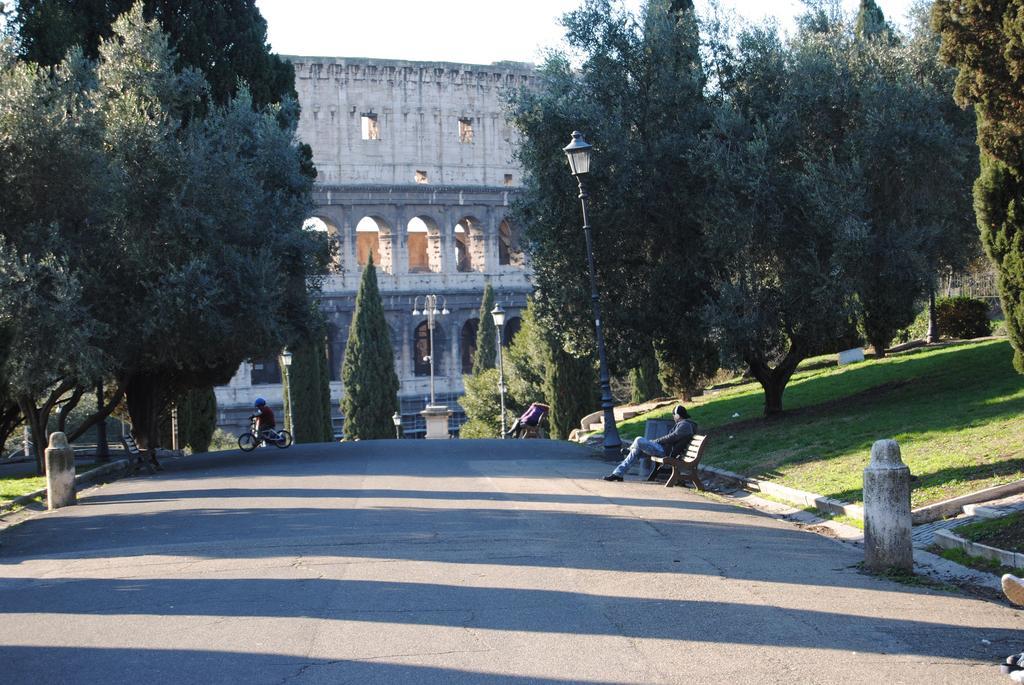 Tridomus - Mecenate 77 * Rome