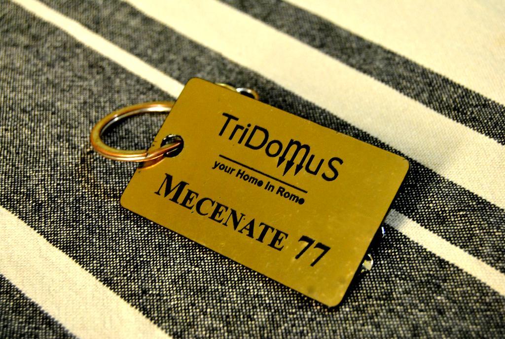 Tridomus - Mecenate 77 Rome